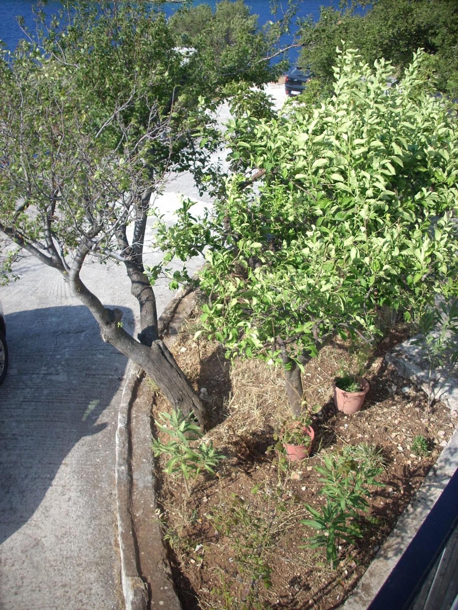 Olympia House Apartment Vathy  Bagian luar foto